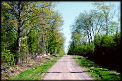 Subdivision on Left of Road