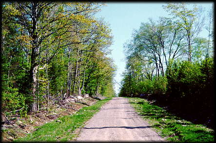 Lot 1 on left of road